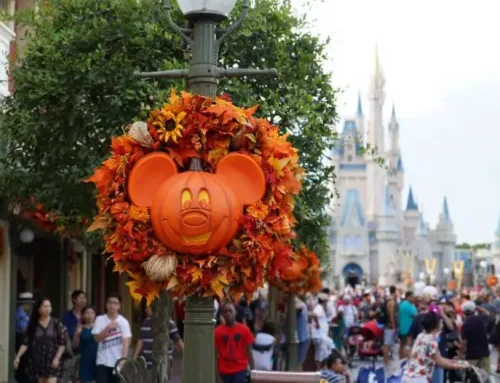 Costumes Allowed at Magic Kingdom for Fall 2020
