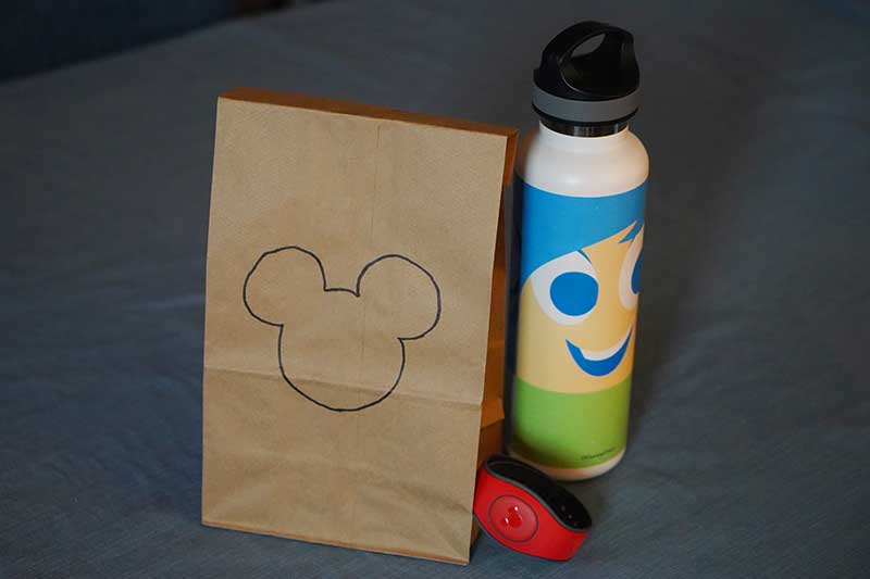 Can you Bring Food into Disney World? [Lunch, Snacks, Sandwich]