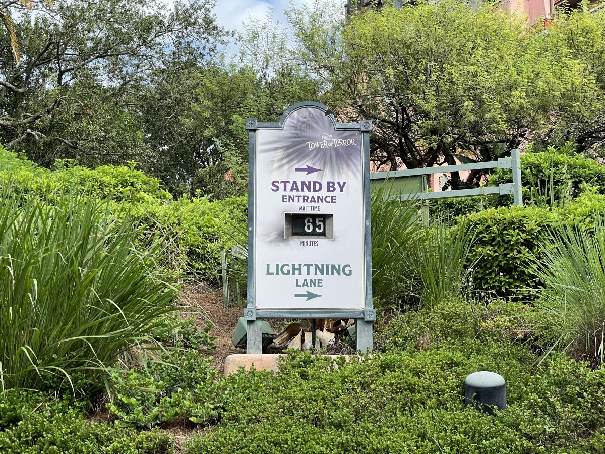 regular lines vs lightning lane passes