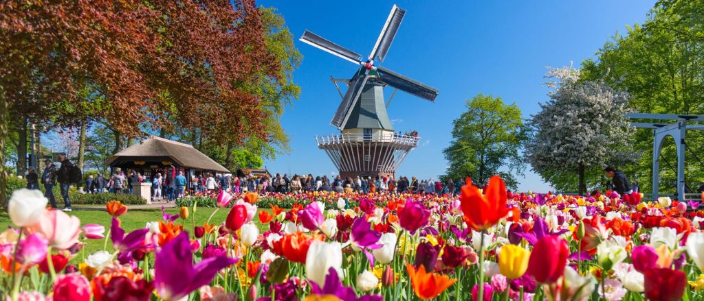 Holland & Belgium: Tulip Season River Cruise