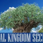 animal-kingdom-secrets-header-789×416-1-min