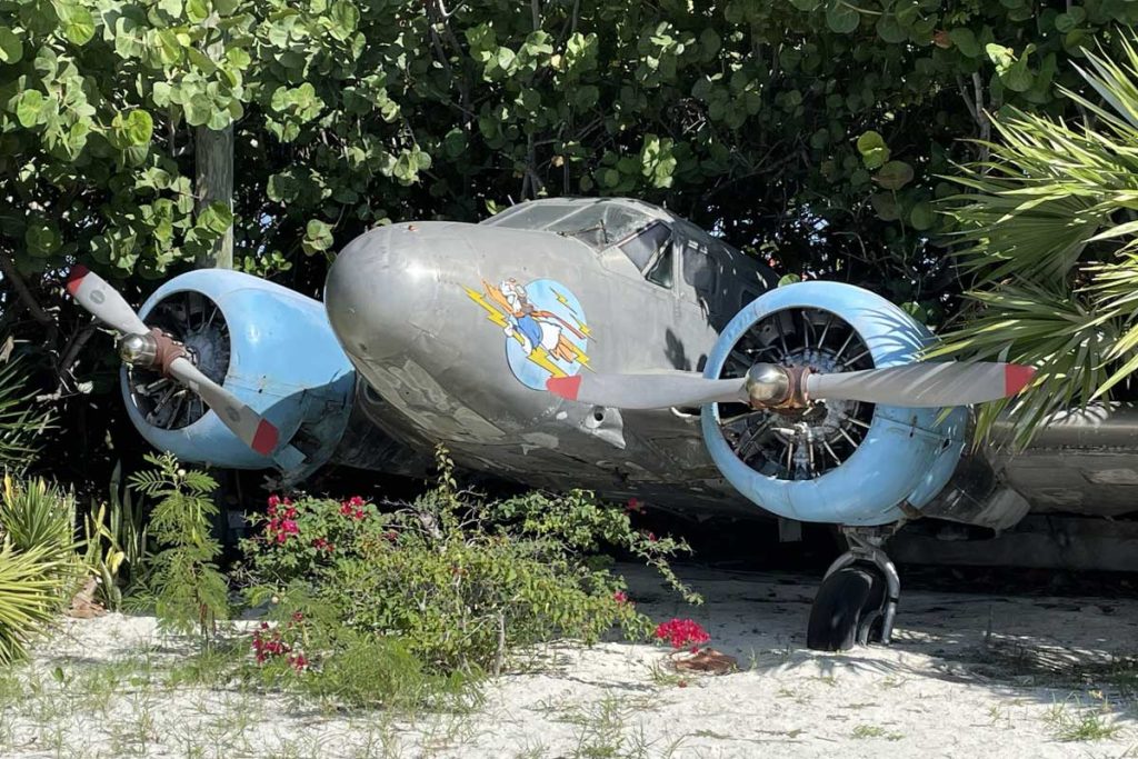 A rusty airplane bearing an image of Donald Duck sits partially buried in thick foliage