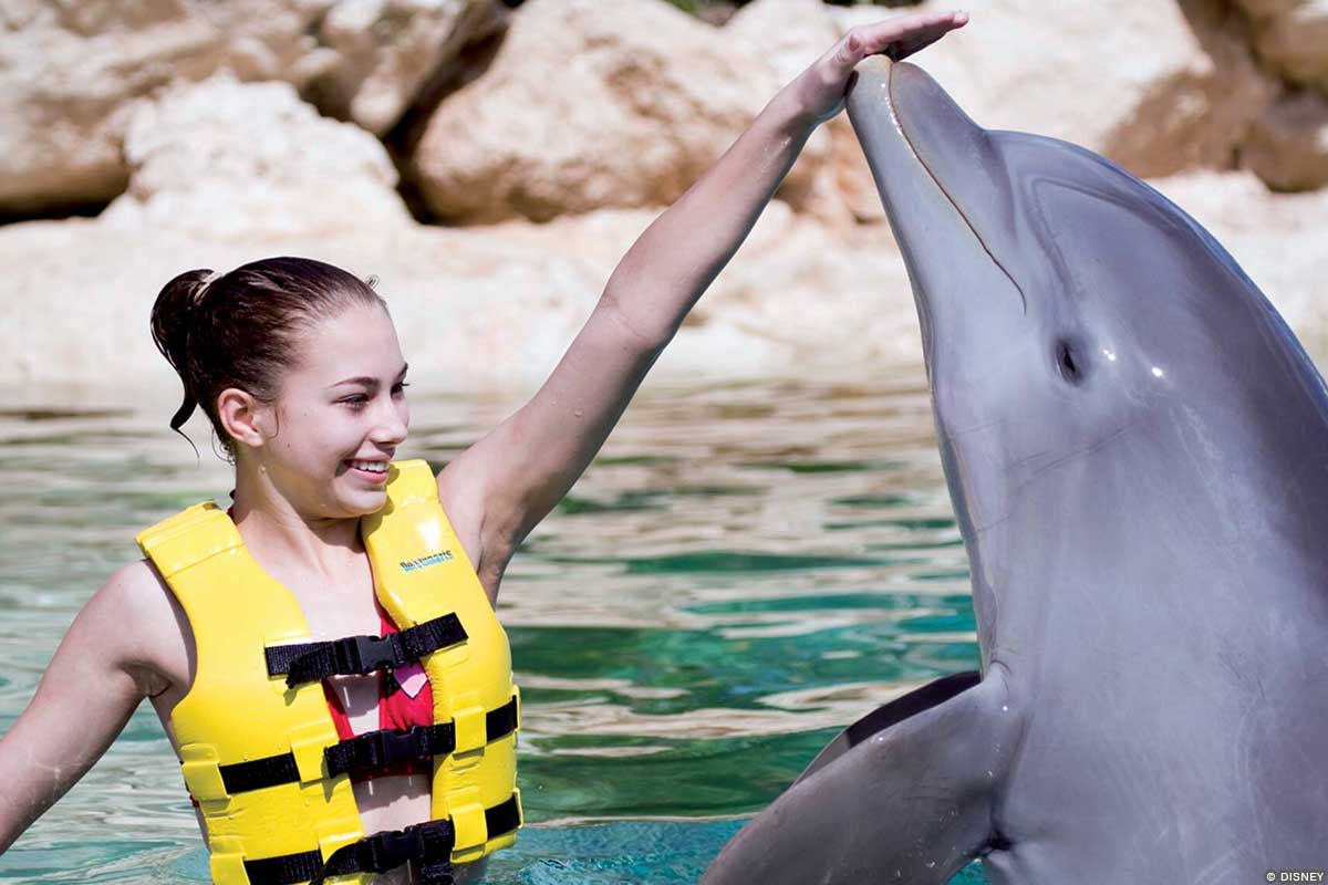 Excursion – CZ40 – Dolphin Trainer A person wearing a life jacket interacts with a dolphin in the water