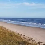 wdw-beaches-near-disney-world-789×413-1-min