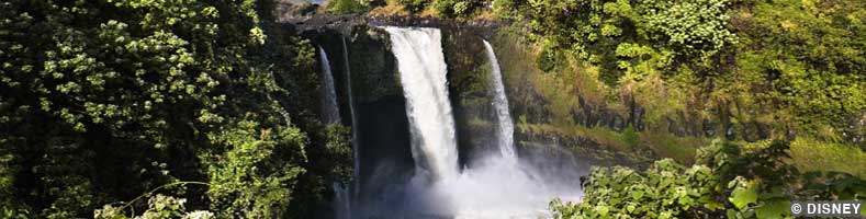 A waterfall in the lush green setting of Hilo, Hawaii