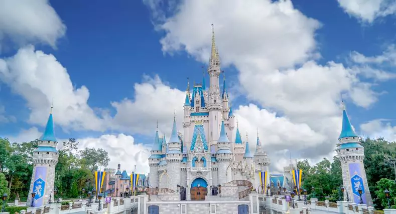 Disney Theme Parks Deluxe Photo Book