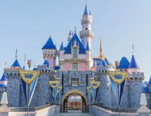How Much Does Disneyland Make Per Day?