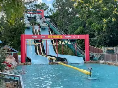 water slides at blizzard beach