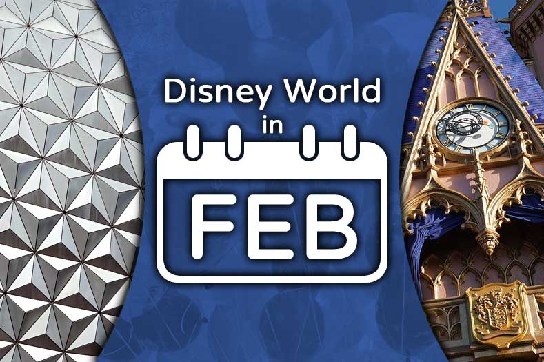 Disney World in February