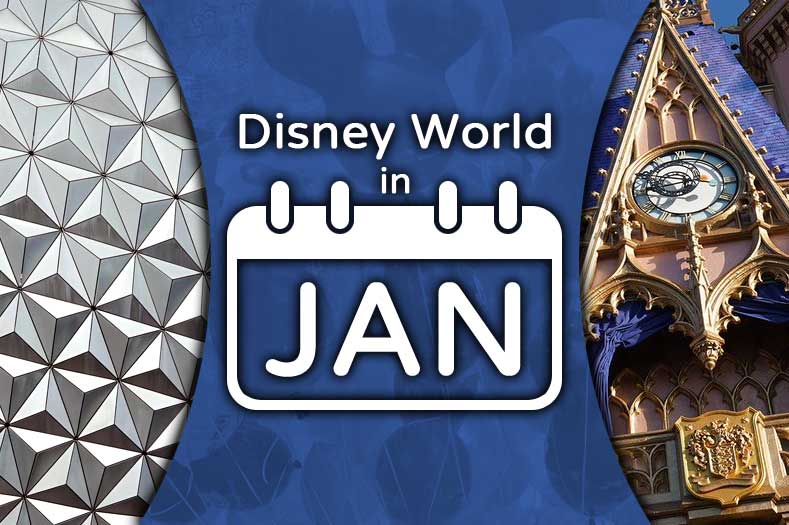 Disney World in January
