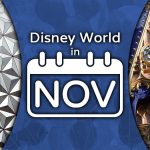 Disney World in November