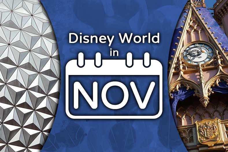 Disney World in November