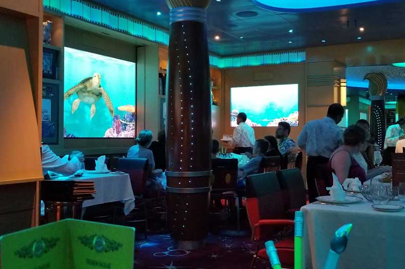 Animated Turtle Crush talks with diners at their table