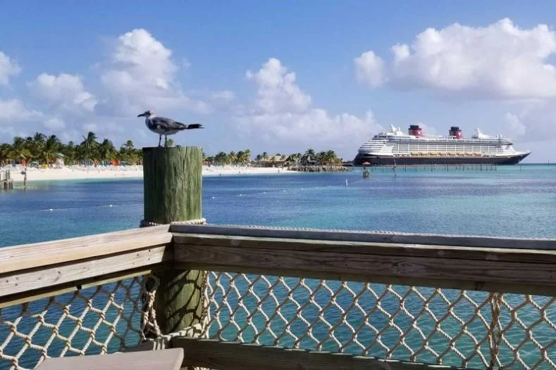 Castaway Cay - Disney's Private Island -- A Disney cruise ship is seen across crystal waters from a wood dock with net railing. A bird sits on the post.