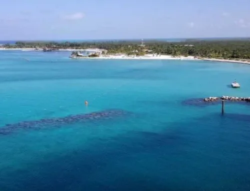 Castaway Cay vs. Lookout Cay: Compare Disney’s Private Islands