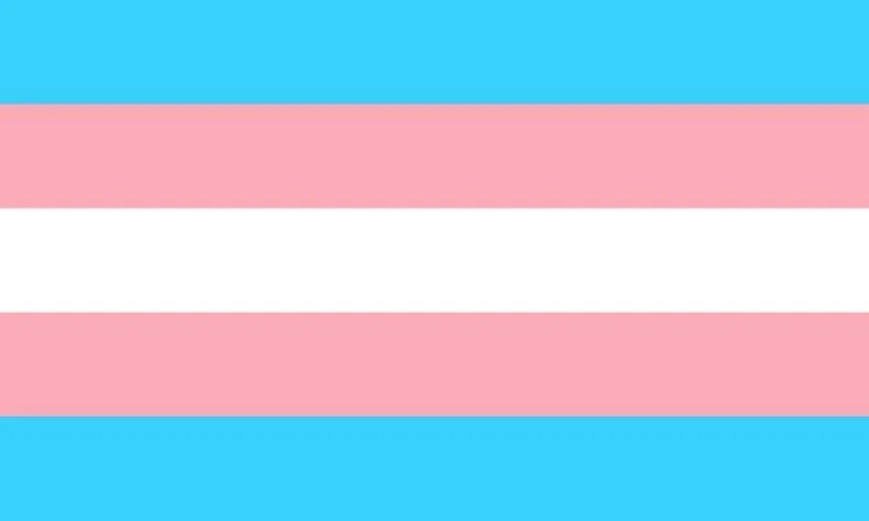 trans flag trans flag