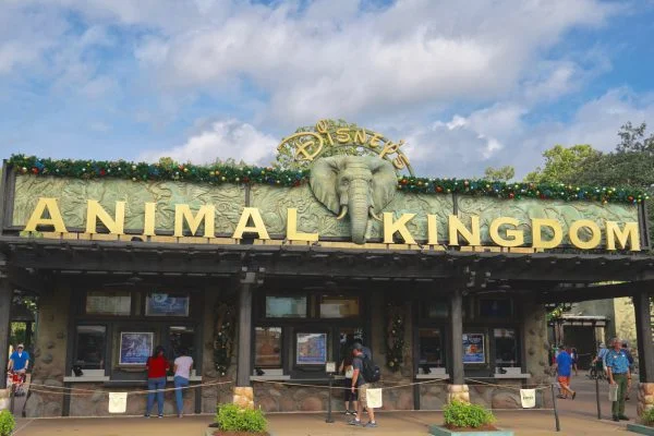 animal kingdom attractions for kids