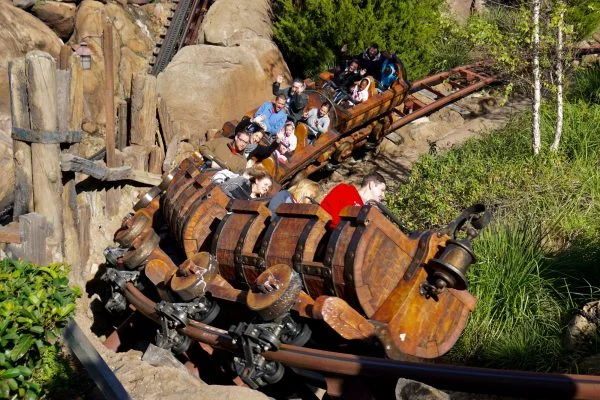 Disney VIP Tours roller coasters at disneyland and disney world