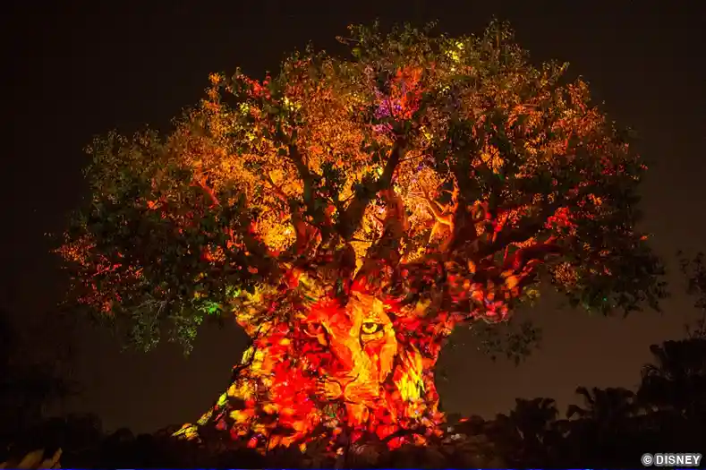 The Tree of Life at Animal Kingdom park, lit for nighttime