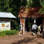 The entrance sign and archway for Maharajah Jungle Trek, one of the best things to do at Animal Kingdom.