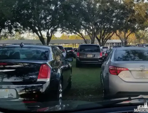 How Much is Disneyland Parking?
