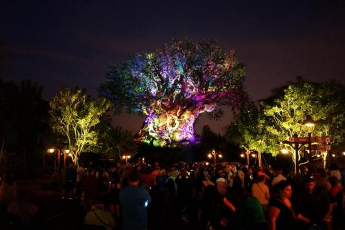 <center>Legal Notice - Creative Commons License - Attribution 3.0 United States (CC BY 3.0 US)</center>