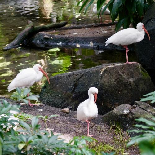 <center>Legal Notice - Creative Commons License - Attribution 3.0 United States (CC BY 3.0 US)</center>