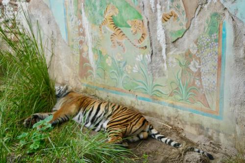 <center>Legal Notice - Creative Commons License - Attribution 3.0 United States (CC BY 3.0 US)</center>