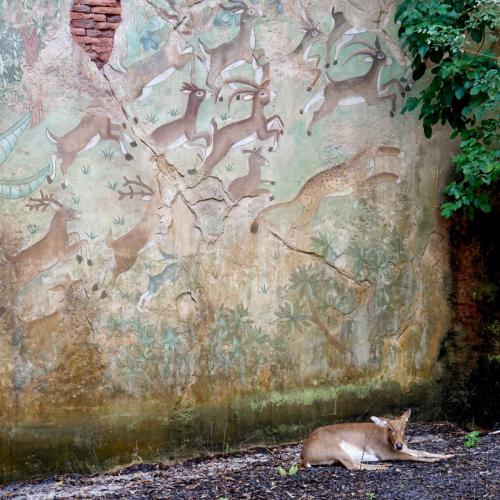 <center>Legal Notice - Creative Commons License - Attribution 3.0 United States (CC BY 3.0 US)</center>