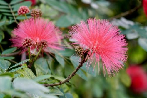 <center>Legal Notice - Creative Commons License - Attribution 3.0 United States (CC BY 3.0 US)</center>