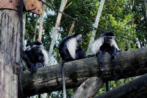 <center>Legal Notice - Creative Commons License - Attribution 3.0 United States (CC BY 3.0 US)</center>