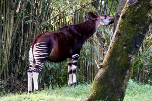 <center>Legal Notice - Creative Commons License - Attribution 3.0 United States (CC BY 3.0 US)</center>