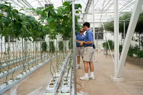 Legal Notice - Creative Commons License - Attribution 3.0 United States (CC BY 3.0 US)