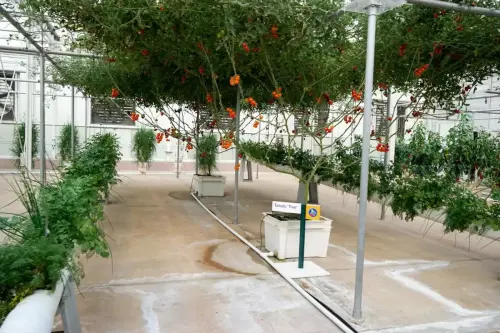 Legal Notice - Creative Commons License - Attribution 3.0 United States (CC BY 3.0 US)