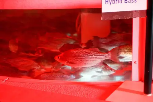 Legal Notice - Creative Commons License - Attribution 3.0 United States (CC BY 3.0 US)